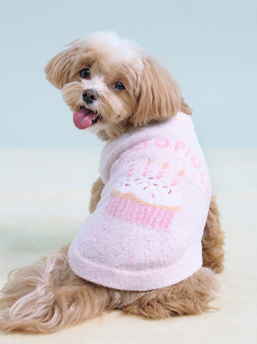 CAT&DOG】【Birthday】スムーズィーカップケーキジャガードプル