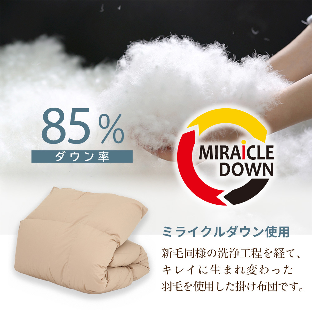 丸八真綿 掛けふとん ミライクルダウン 布団 羽毛布団 エコダウン85
