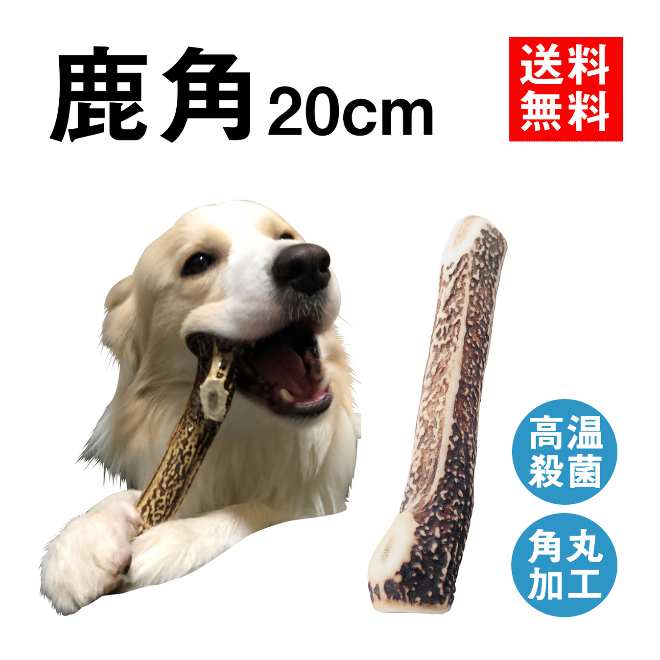 安心・安全の国産 北海道のエゾ鹿の角【20cm 大型犬】鹿の角 犬