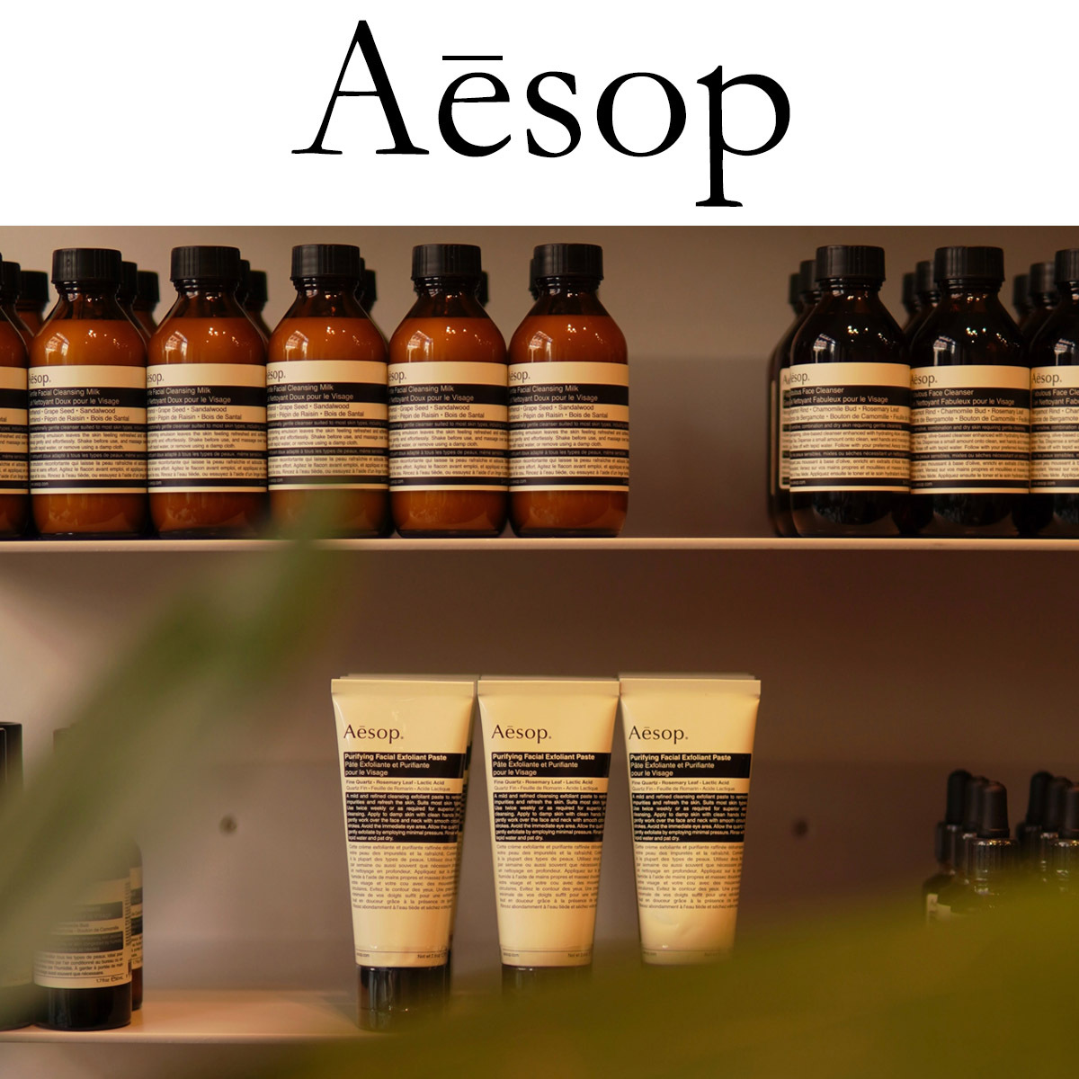 巾着＆ギフトBOX付き】イソップ aesop ハンドクリーム アンドラム