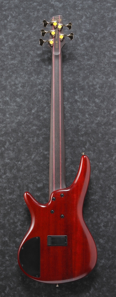 Ibanez Premium Series SR2405W-CGL 【WEBSHOP】（新品/送料無料