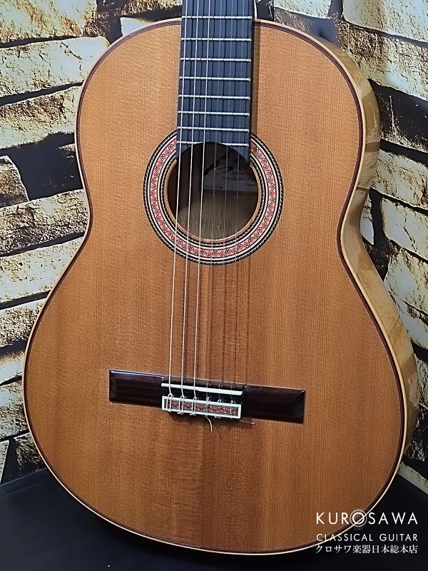 Osamu Nakayama 中山 修 2010年製 Bamboo Guitar バンブー・ギター 松