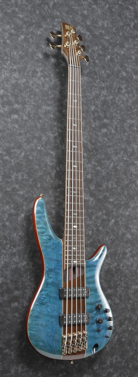 Ibanez Premium Series SR2405W-CGL 【WEBSHOP】（新品/送料無料