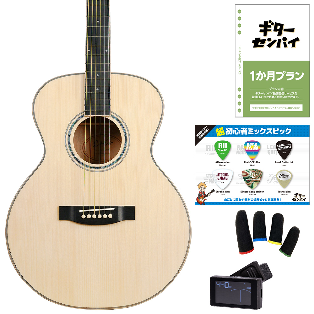 Eris. Aproa 超初心者セット ナチュラルウッド ピックガード3種付