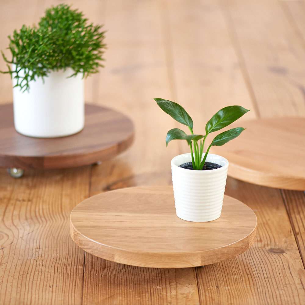 無垢材のキャスター付き プランターベース ホワイトオーク 径29cm 通販