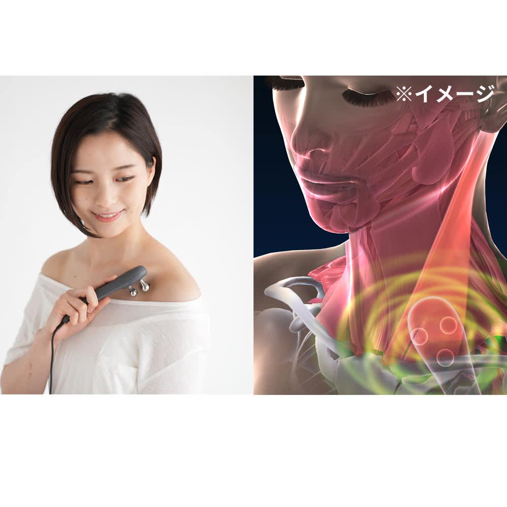 シェイプビート プレミアム 通販 - ディノス