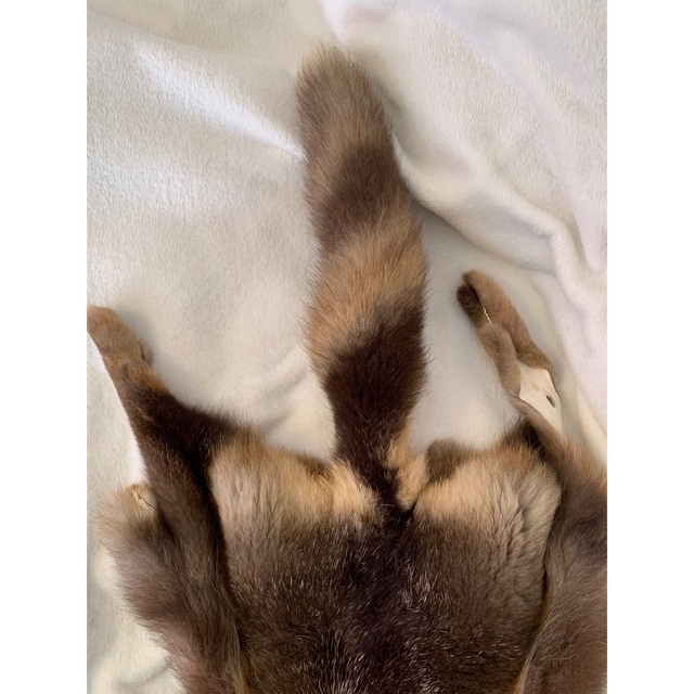 激レア】十字狐 ジュウジギツネ クロスフォックス 原皮 毛皮 ラグ 敷物