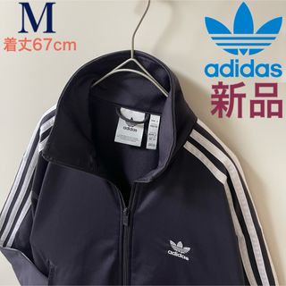 2456457095.jpg?1734135097