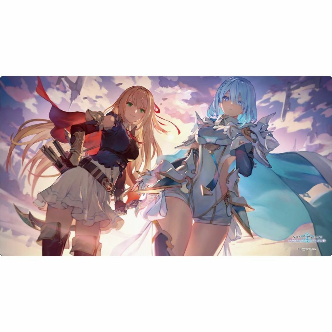 シャドバWB ドライツェーン 2025 ラバーマット シャドバWB ドライ