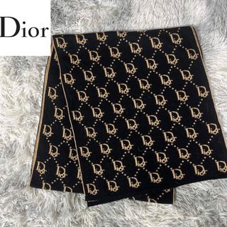 Christian Dior（マフラー/ショール）のフリマアイテム一覧