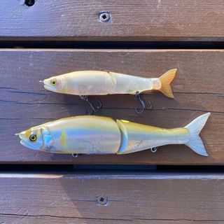 Megabass - メガバスエキシビジョン 2026 大阪会場限定POP-X+