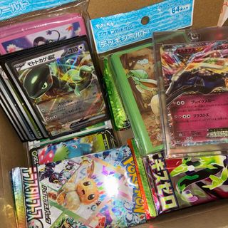 Nintendo Switch - 早い者勝ち 極上品 激レア あつまれどうぶつの森