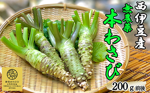 世界農業遺産認定」 無農薬本わさび 無農薬 わさび 山葵 ワサビ 薬味