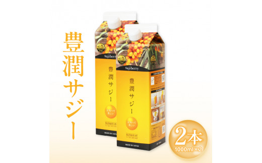 豊潤サジー 1000ml×2本セット サジージュース【紙パックタイプ】_M327