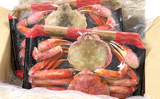 B-47006 カット済みボイルずわい蟹姿2尾(計1～1.1kg) - 北海道根室市