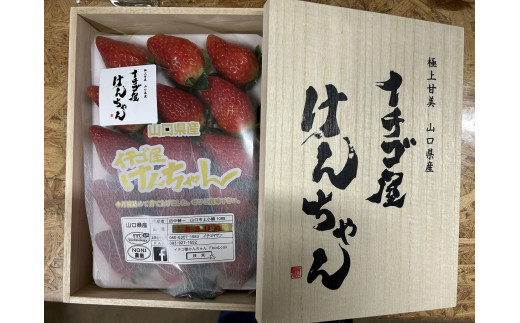 D326 イチゴ屋けんちゃん高糖度桐箱 いちご / 山口県山口市 | セゾンの