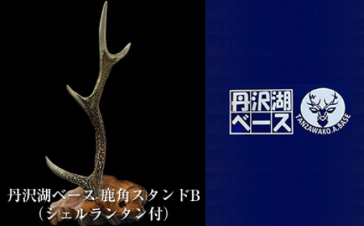 オホーツク産エゾシカ 牡鹿の角 ( ふるさと納税 エゾ鹿 天然素材