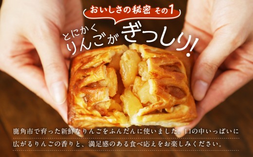たっぷりりんごの アップルパイ 20個入（箱入り）【レディースファーム