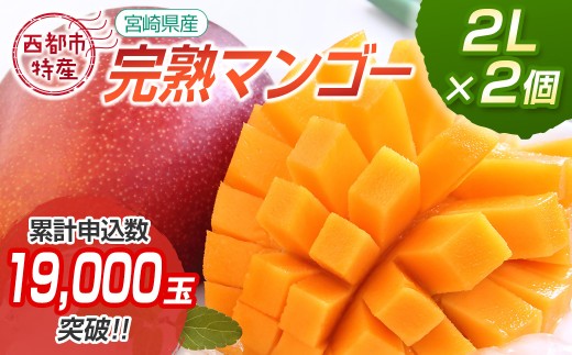 宮崎県西都市産完熟マンゴー2L×2個 西都市特産品 ＜1.2-39＞宮崎完熟