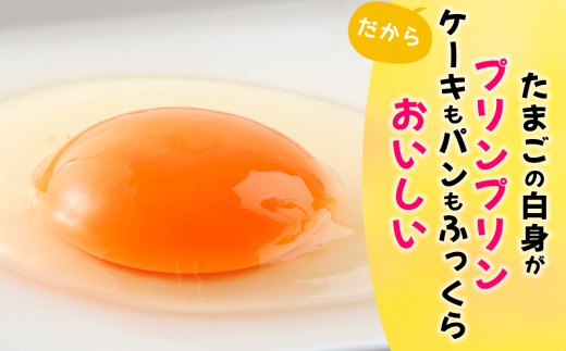 ぷりんセス・エッグ 30個『北川鶏園 房総のあおぞら農場』｜たまご