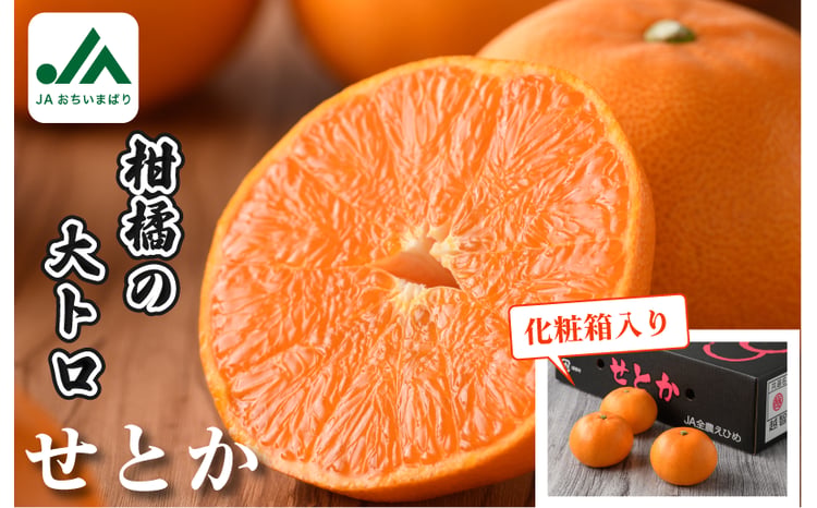 sd1_fc9742f7899d415d96380d1ebd