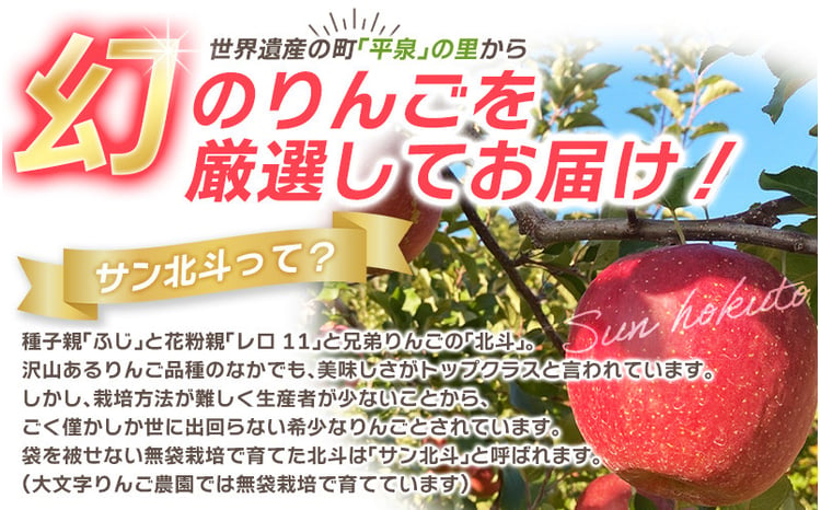 2025年10月下旬頃より順次発送】大文字りんご園 サン北斗 サン北斗 約