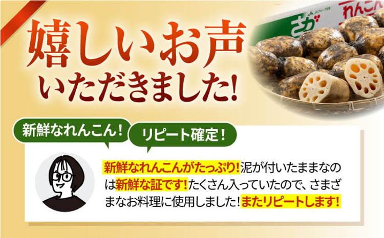 2026年1月以降発送】白石町産 泥付きれんこん （4kg） 【佐賀県農業