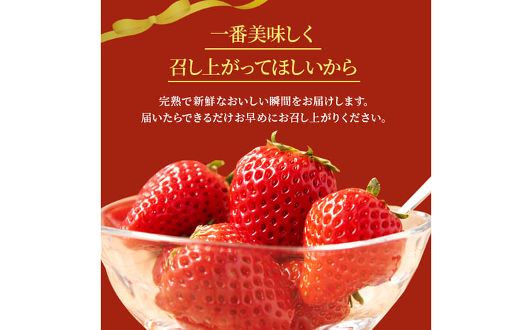 いちご 完熟 奈乃華 約540g(270g× 2パック ) 佃農園のこだわり