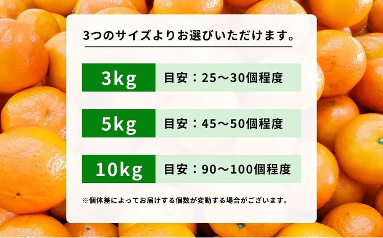 瀬戸内の亀ちゃん みかん 3kg/5kg/10kg 選べるサイズ 11～2月発送 国産