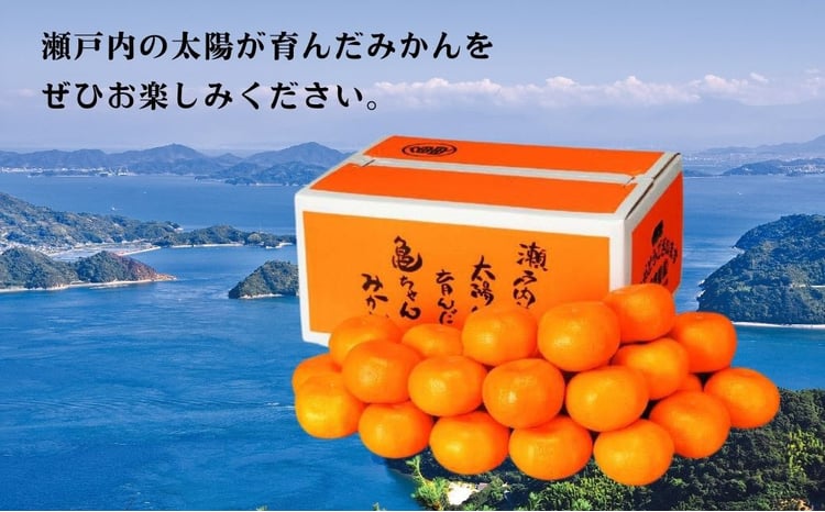 瀬戸内の亀ちゃん みかん 3kg/5kg/10kg 選べるサイズ 11～2月発送 国産
