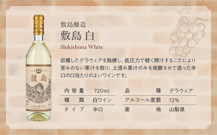 甲斐市のワイナリーから6本厳選！】赤白ワイン飲み比べ6本セット B