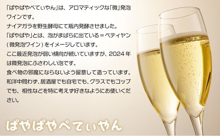 数量限定】 ぱやぱやぺてぃやん2024 750ml【 ふるさと納税 人気