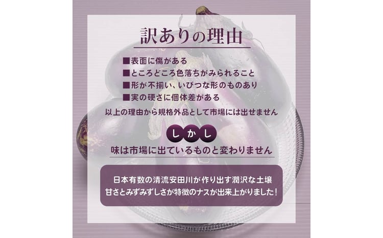 安田町産 「超」 訳あり ナス なす なすび 1kg 新鮮 野菜 茄子 産地