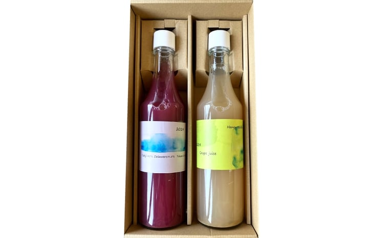 ぶどう ジュース 2種 （赤・白） 各500ml [大野農園 Rapporti 山形県