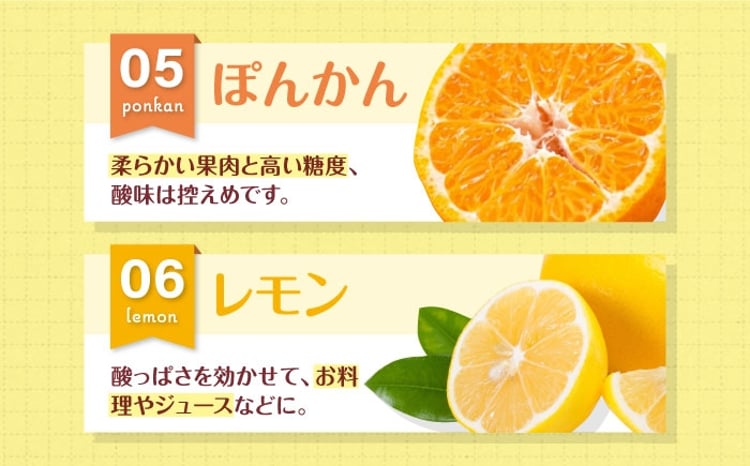 柑橘おまかせセット【先行予約】【3月上旬発送】愛媛県大洲市/沢井青果