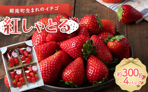 篠原農園】 鋸南町生まれのイチゴ新品種 「紅しゃとる」 300g×4パック