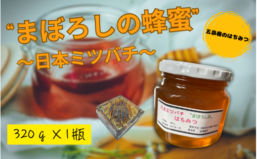 はちみつ 320g × 1瓶 日本ミツバチのはちみつ まぼろしの蜂蜜