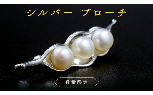 数量限定 】 シルバー ブローチ アクセサリー ジュエリー レディース