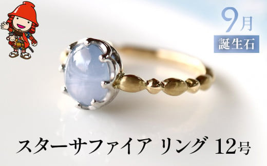 誕生石 9月 スターサファイア 指輪 | リング 12号 K18 PT900 プラチナ