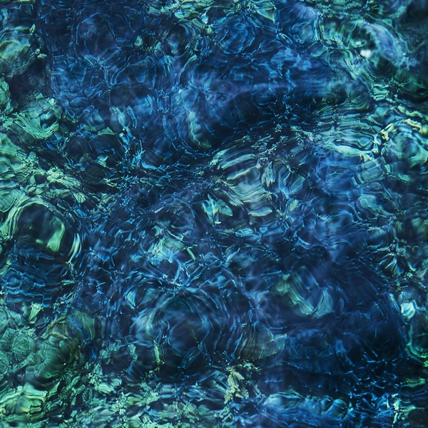 青葉市子 ニューアルバム『Luminescent Creatures』アナログも発売中