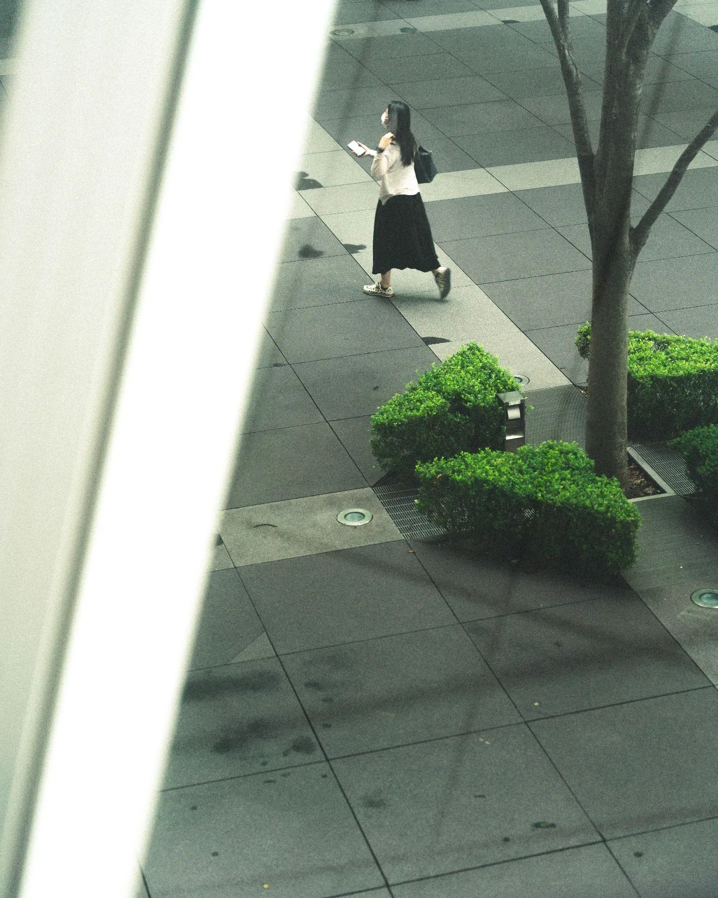 SIGMA 65mm F2 DG DN｜Contemporary [ソニーE用]を徹底解説。愛用者