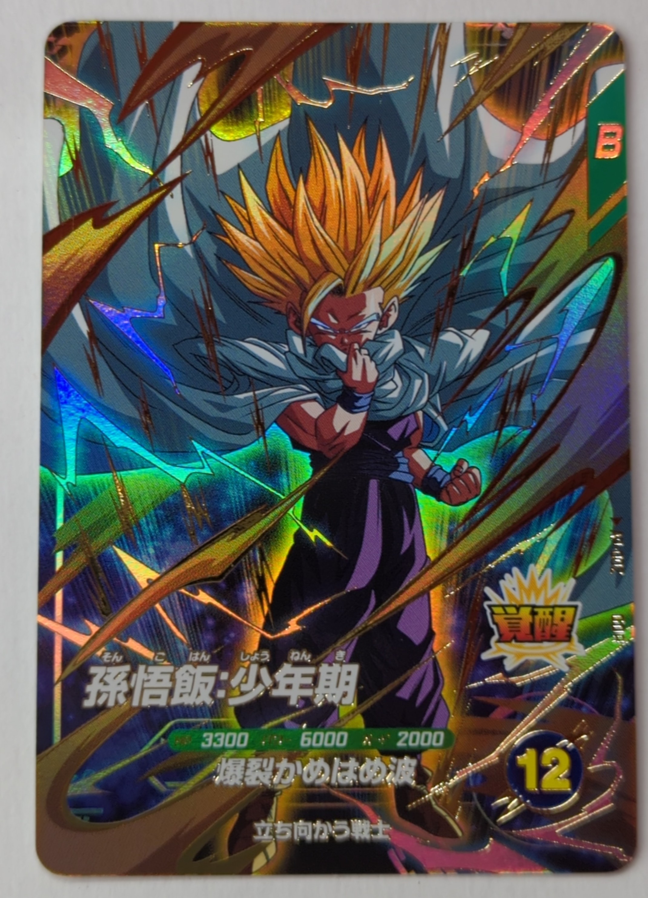 DBFW 孫悟飯 少年期 アルティメットバトル 優勝 プロモ 孫悟飯 少年期