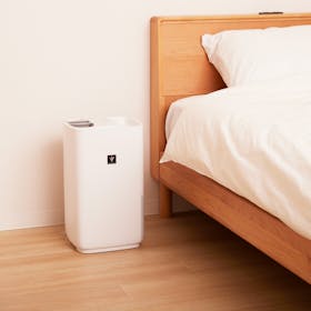 シャープ プラズマクラスター加湿器 HV-S55の評判・口コミは？実際に