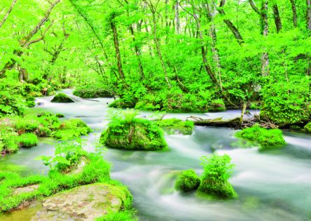 奥入瀬渓流（青森県／奥入瀬渓流）のアクセス・営業時間・料金情報