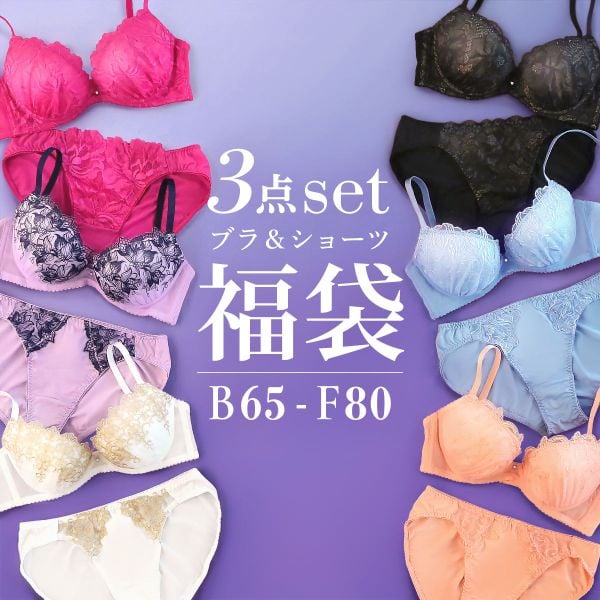 ブラジャー ショーツ セット 3点 福袋 エレガントタイプ おまかせ 刺繍