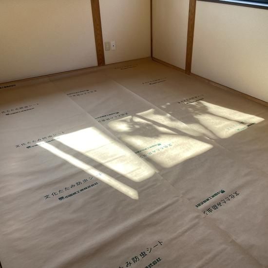 畳下防虫シート