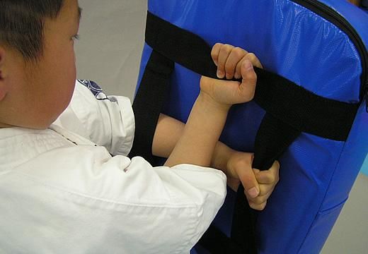 ビッグミットジュニア - 格闘技用トレーニンググッズの専門店（ネット