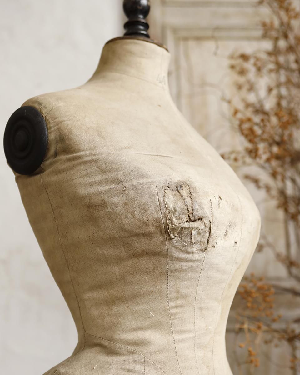 フランスアンティーク アンティークトルソー.1 STOCKMAN （ストック