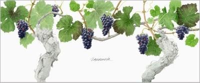 玉村豊男 版画作品 - ヴィラデストワイナリーオンラインショップ