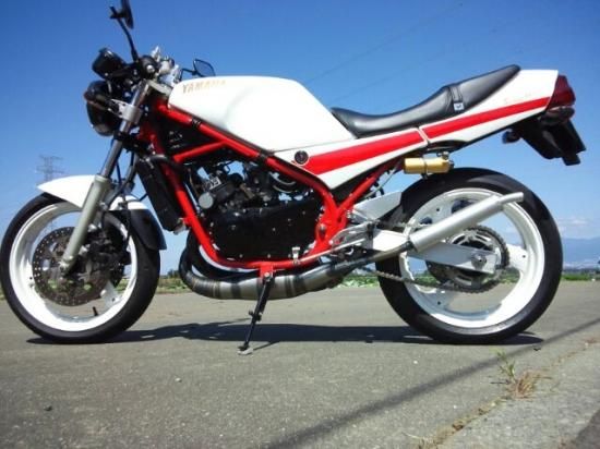 RZ/RZR スチールクロスレーシングチャンバー（350/250） - TOSH-TEC